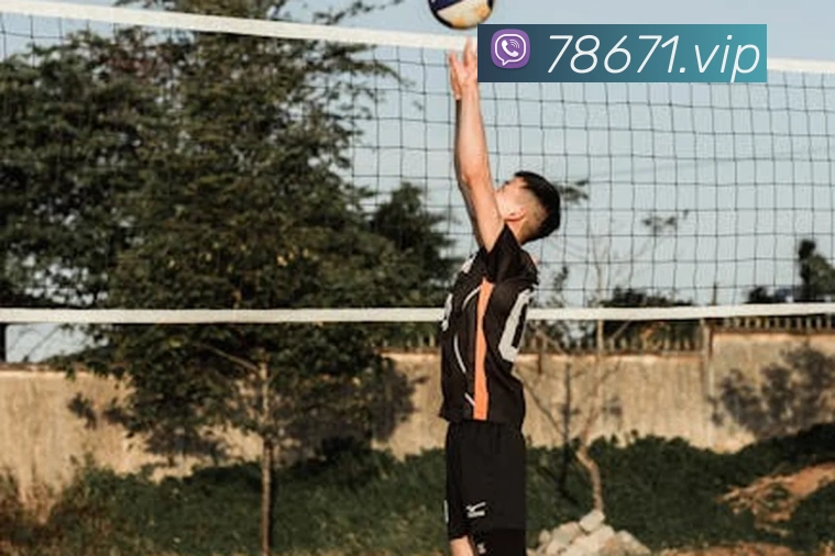 tyc44118太阳成APP 封面图